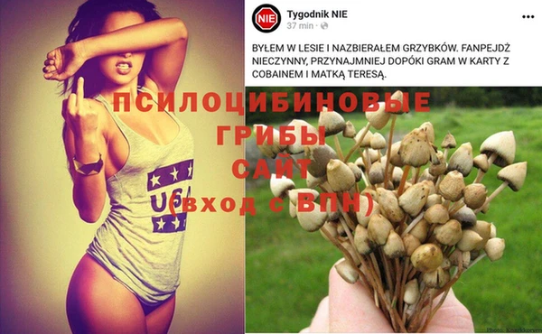 гидропоника Армянск