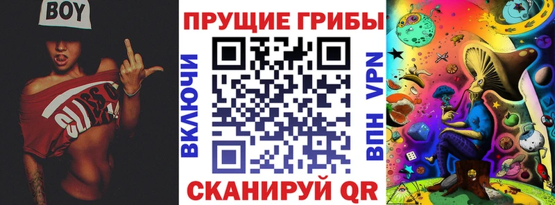 Псилоцибиновые грибы MAGIC MUSHROOMS  купить наркотик  Боровск 